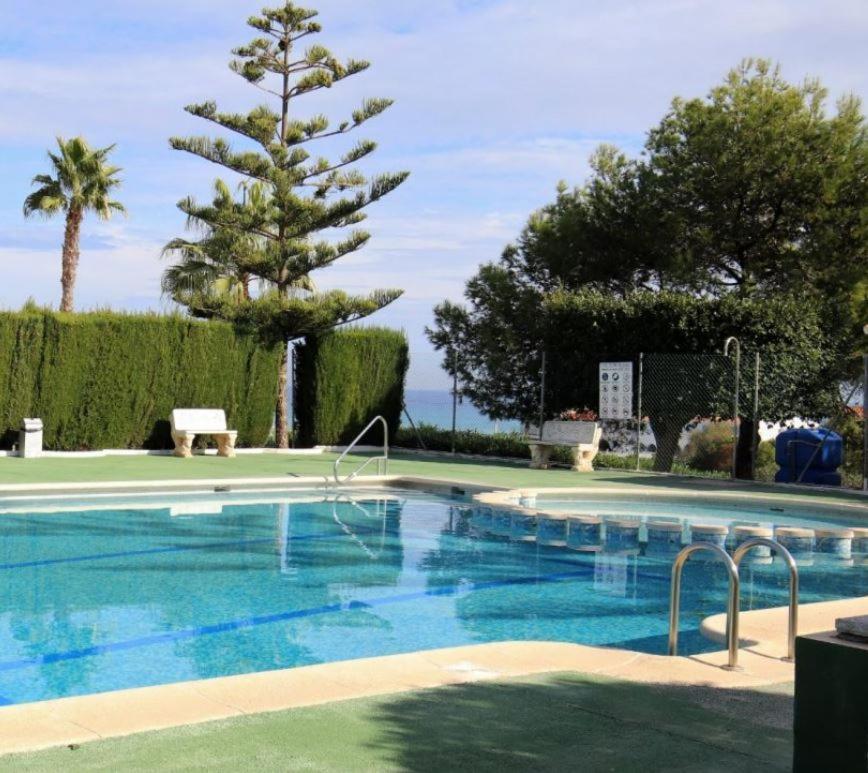 Apartment With Sea View, La Mata Torrevieja Buitenkant foto